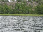 Sweden 2007-08 220